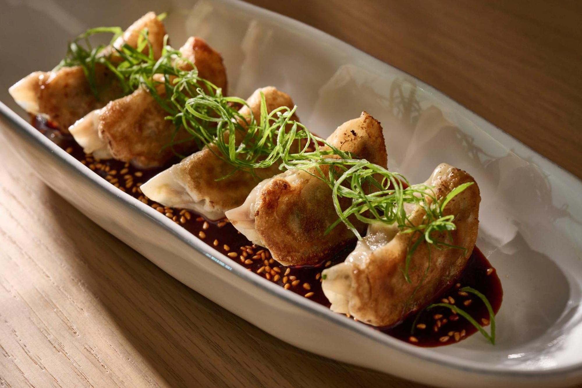 Hyatt Centric Jumeirah Dubai Ngoại thất bức ảnh Fried dumplings